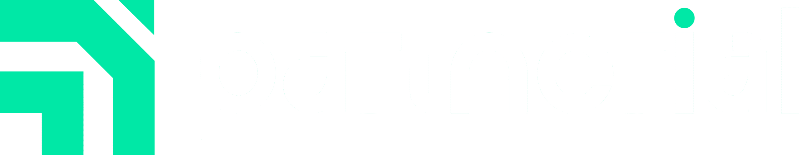 Partnerial Logo